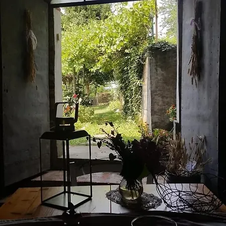 Casa Elvira Antica *